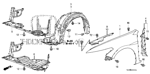 2008 accord EXL-V6 2 DOOR 6MT FRONT FENDERS diagram 2008 accord EXL-V6 2 DOOR 6MT FRONT FENDERS diagram